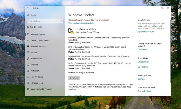 Windows 10 KB4471332 Güncellemesi Yayınlandı (Yapı 17763.194)