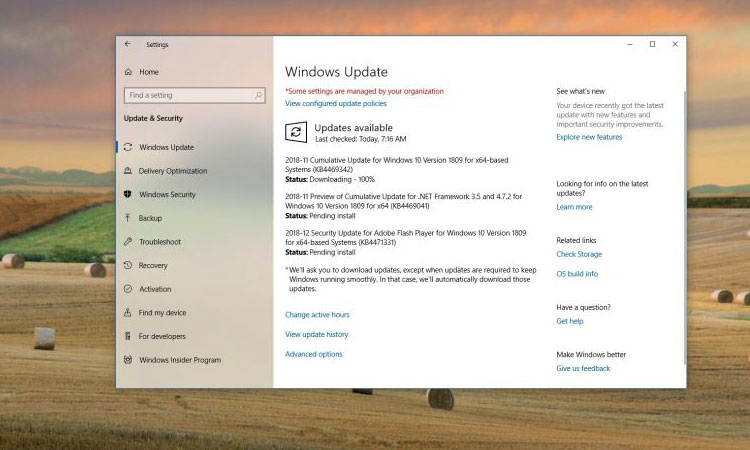 Windows 10 KB4469342 Güncellemesi Yayınlandı (Yapı 17763.168)