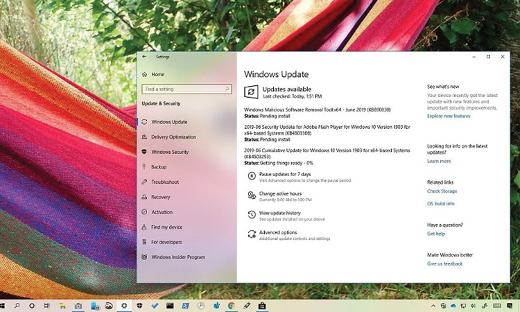 Windows 10 KB4503293 Güncellemesi 1903 Sürümü için Yayınlandı (18362.175)