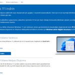 Windows 11 ISO indir